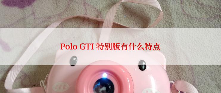 Polo GTI 特别版有什么特点