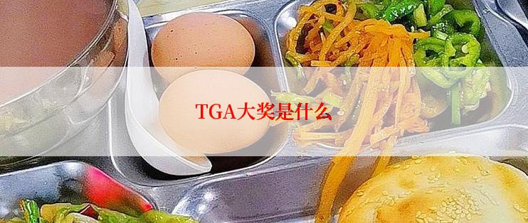 TGA大奖是什么