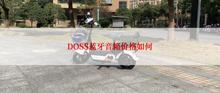 DOSS蓝牙音箱价格如何