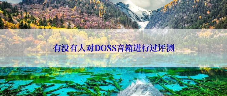 有没有人对DOSS音箱进行过评测