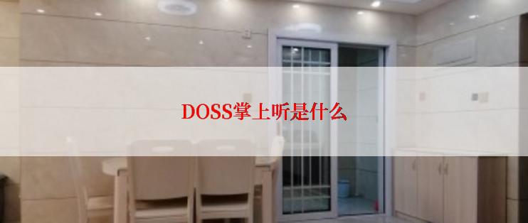 DOSS掌上听是什么