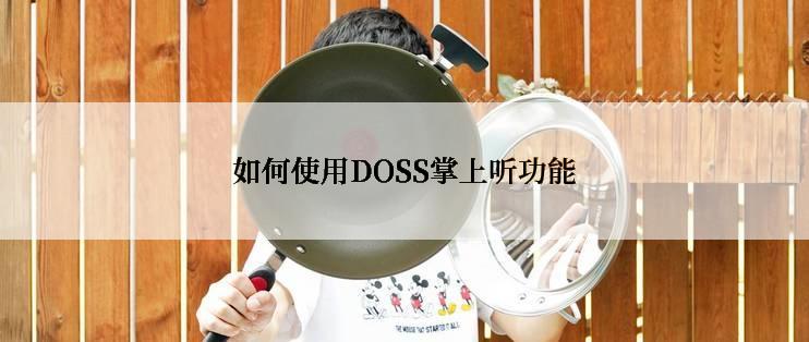 如何使用DOSS掌上听功能