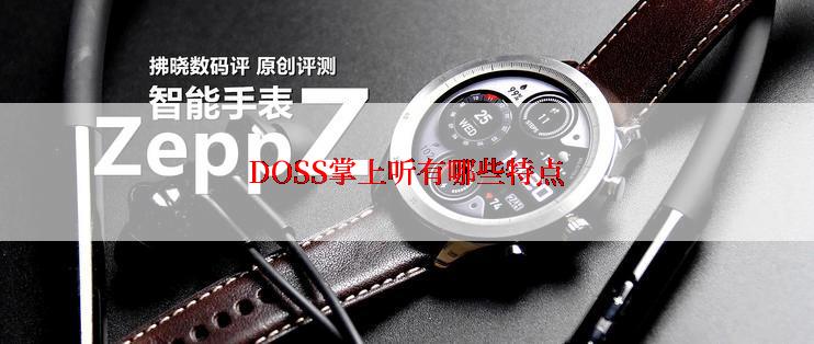 DOSS掌上听有哪些特点