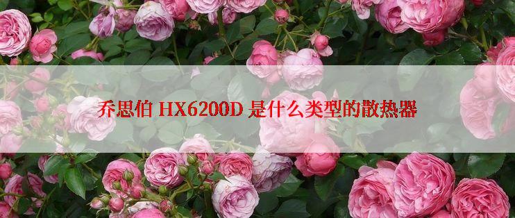 乔思伯 HX6200D 是什么类型的散热器