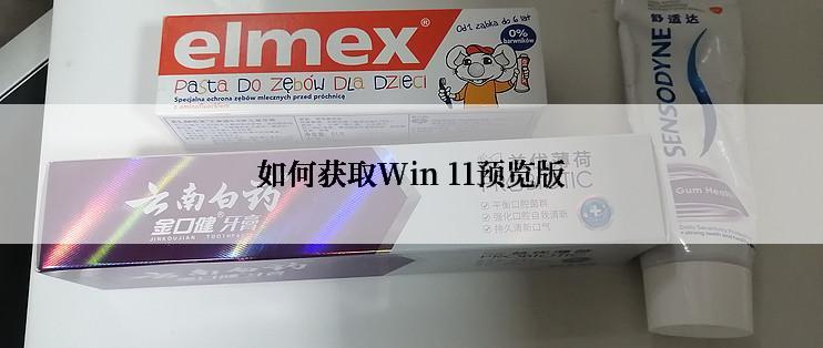 如何获取Win 11预览版