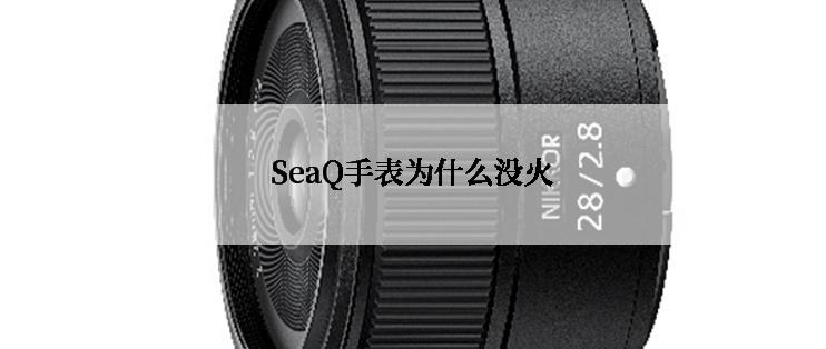 SeaQ手表为什么没火