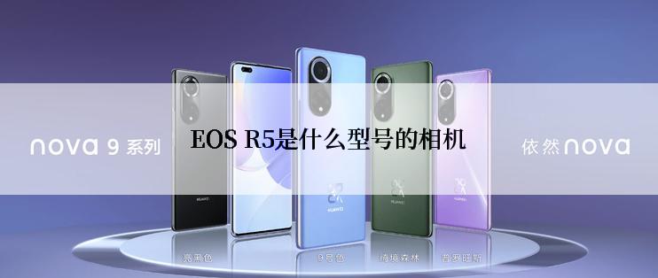 EOS R5是什么型号的相机