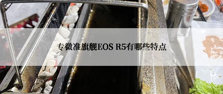 专微准旗舰EOS R5有哪些特点