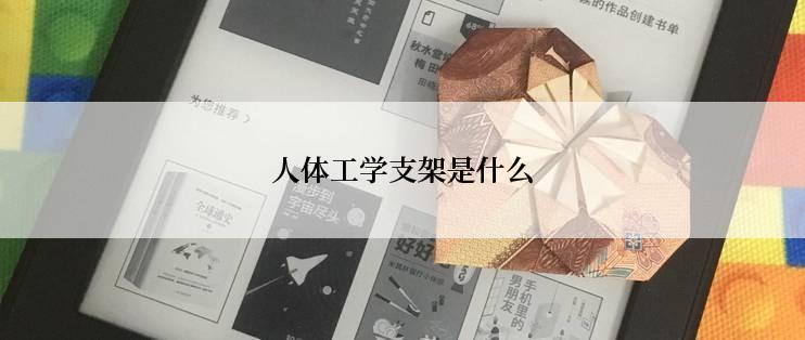 人体工学支架是什么