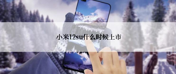  小米12su什么时候上市