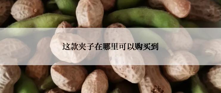 这款夹子在哪里可以购买到