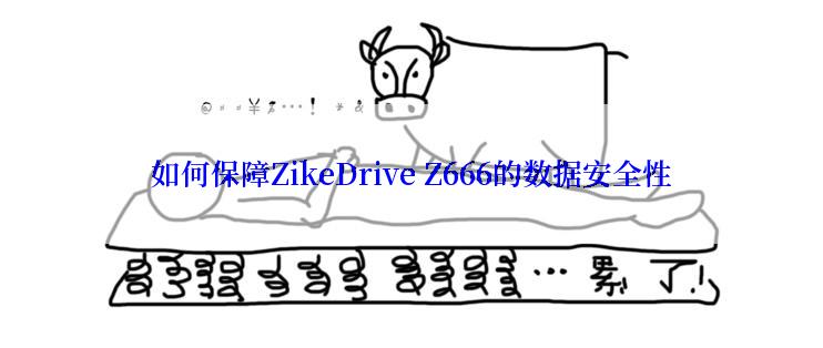 如何保障ZikeDrive Z666的数据安全性