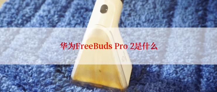 华为FreeBuds Pro 2是什么