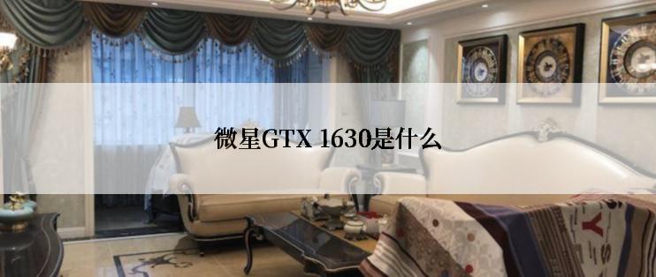 微星GTX 1630是什么