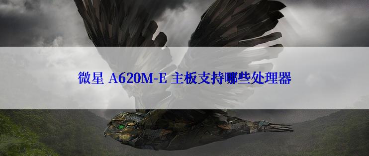 微星 A620M-E 主板支持哪些处理器