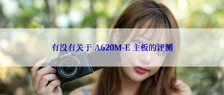 有没有关于 A620M-E 主板的评测