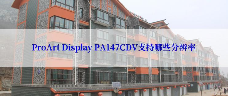 ProArt Display PA147CDV支持哪些分辨率