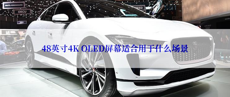 48英寸4K OLED屏幕适合用于什么场景