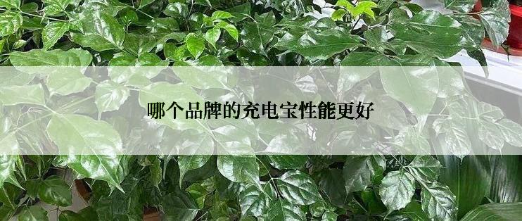 哪个品牌的充电宝性能更好