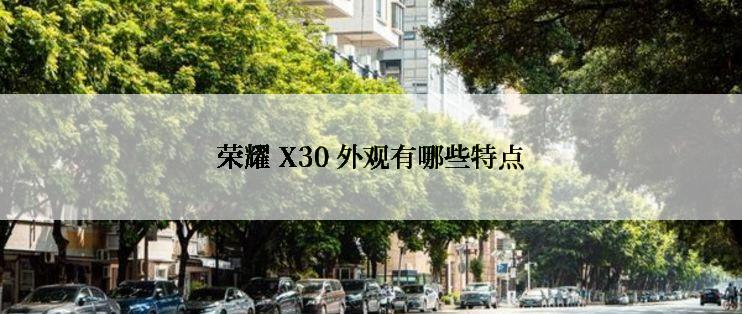 荣耀 X30 外观有哪些特点