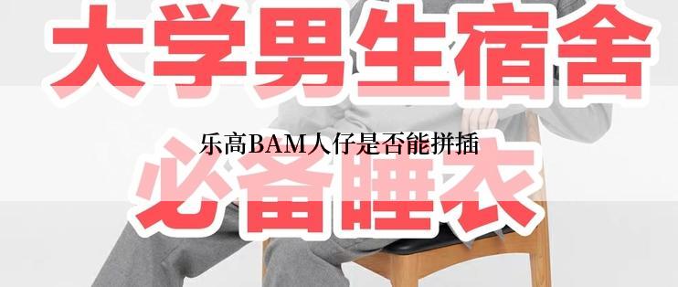 乐高BAM人仔是否能拼插