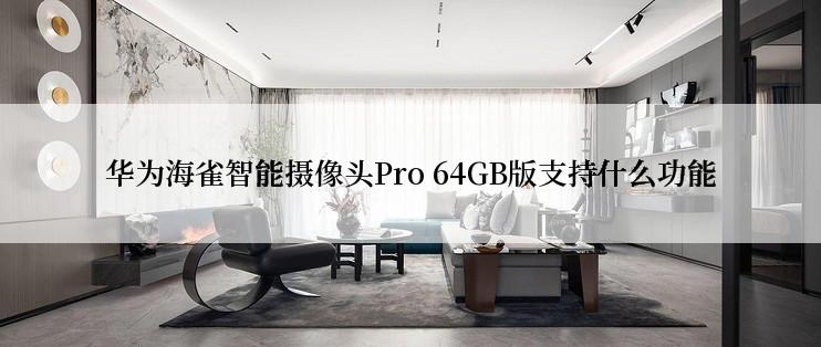 华为海雀智能摄像头Pro 64GB版支持什么功能