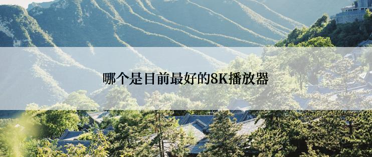 哪个是目前最好的8K播放器