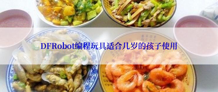 DFRobot编程玩具适合几岁的孩子使用