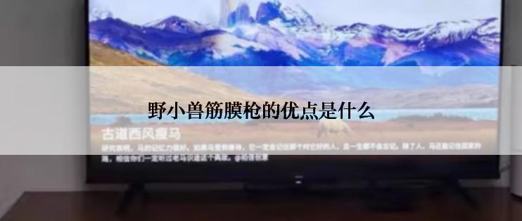 野小兽筋膜枪的优点是什么