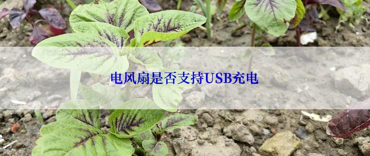 电风扇是否支持USB充电