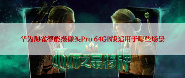 华为海雀智能摄像头Pro 64GB版适用于哪些场景