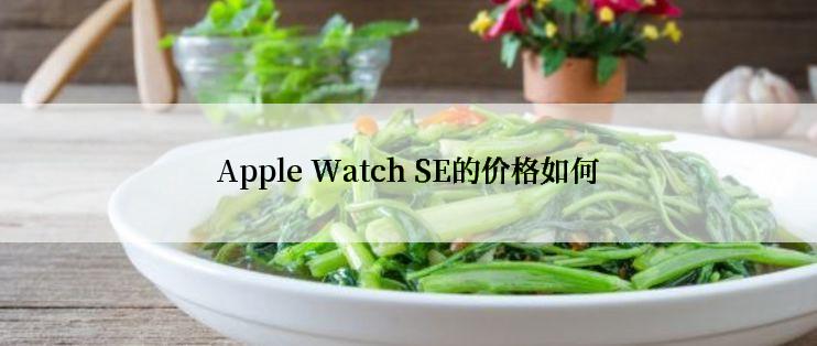 Apple Watch SE的价格如何