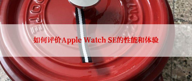 如何评价Apple Watch SE的性能和体验