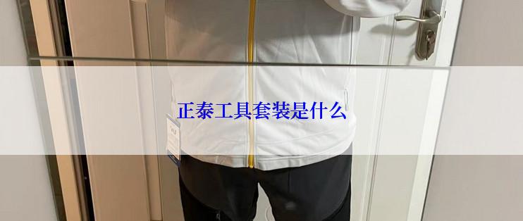 正泰工具套装是什么