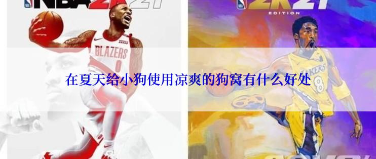 在夏天给小狗使用凉爽的狗窝有什么好处