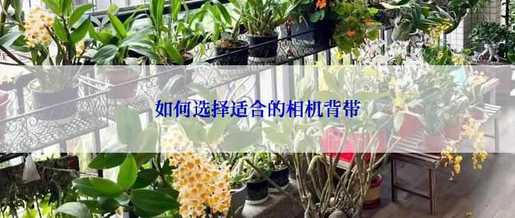 如何选择适合的相机背带