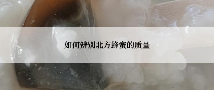 如何辨别北方蜂蜜的质量