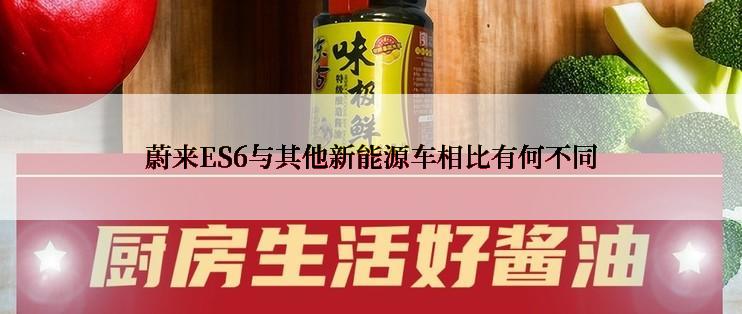 蔚来ES6与其他新能源车相比有何不同