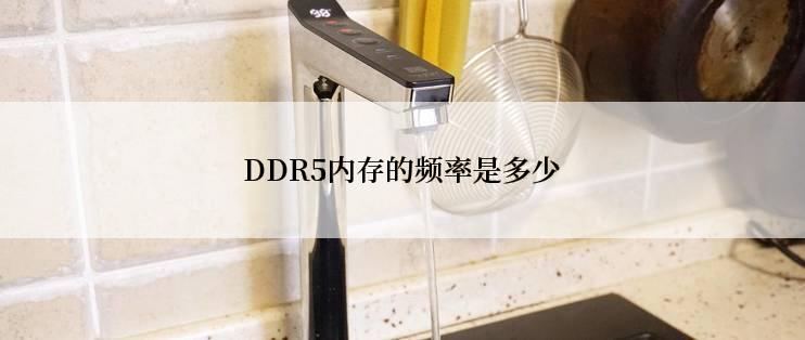 DDR5内存的频率是多少