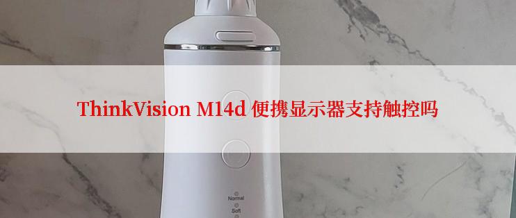 ThinkVision M14d 便携显示器支持触控吗