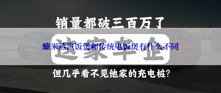 臻米蒸汽饭煲和传统电饭煲有什么不同