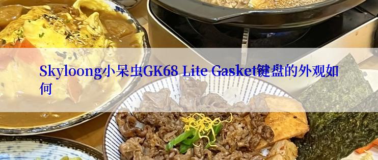 Skyloong小呆虫GK68 Lite Gasket键盘的外观如何