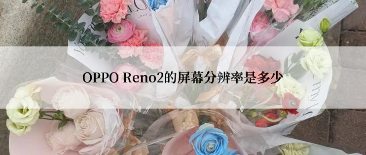 OPPO Reno2的屏幕分辨率是多少