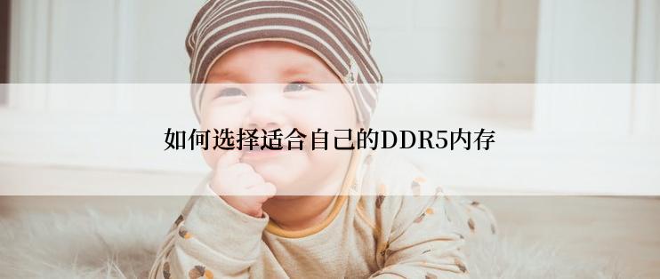 如何选择适合自己的DDR5内存