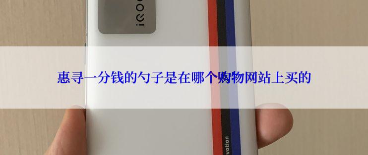 惠寻一分钱的勺子是在哪个购物网站上买的