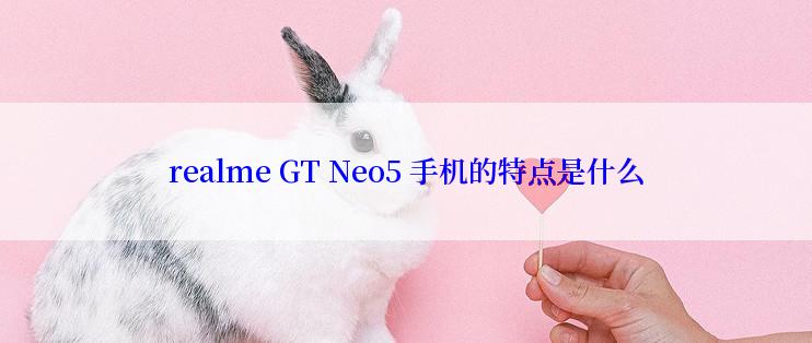 realme GT Neo5 手机的特点是什么