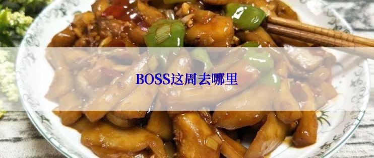 BOSS这周去哪里