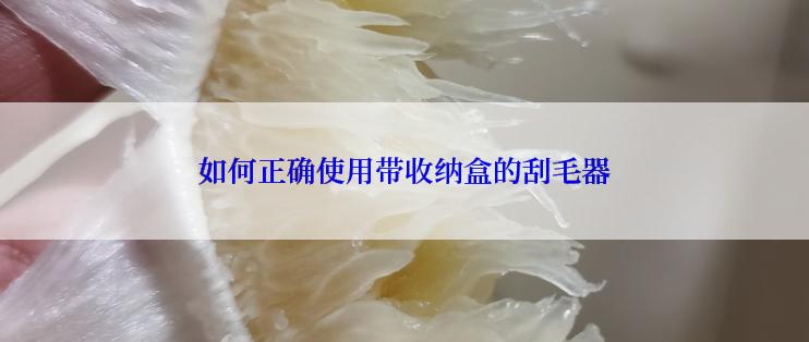 如何正确使用带收纳盒的刮毛器