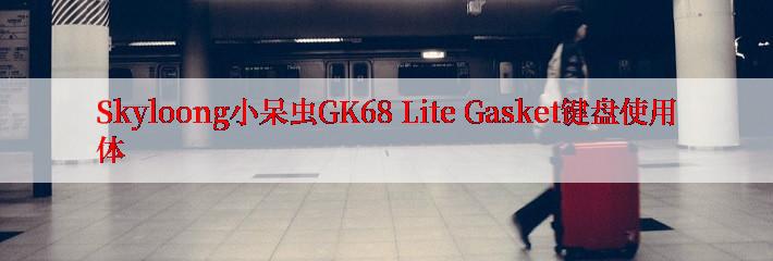 Skyloong小呆虫GK68 Lite Gasket键盘使用体