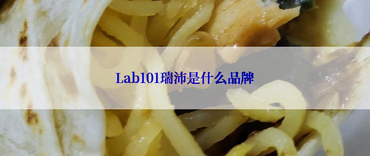 Lab101瑞沛是什么品牌